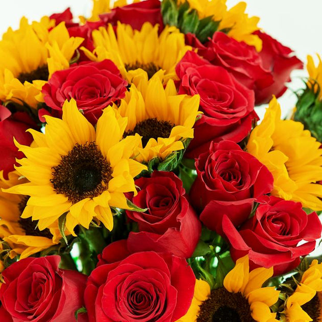 SUNFLOWER WITH RED ROSE BOUQUET WRAP