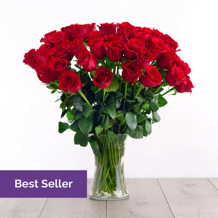 Red Roses