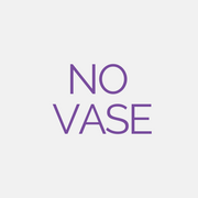 Free Vase Selection