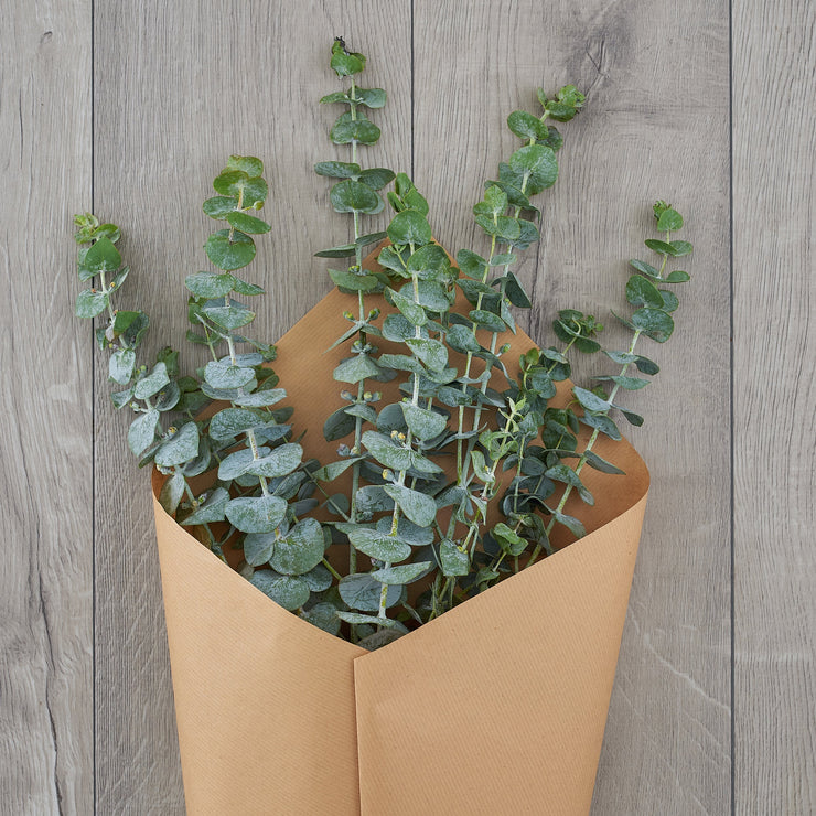 Free Vase Selection