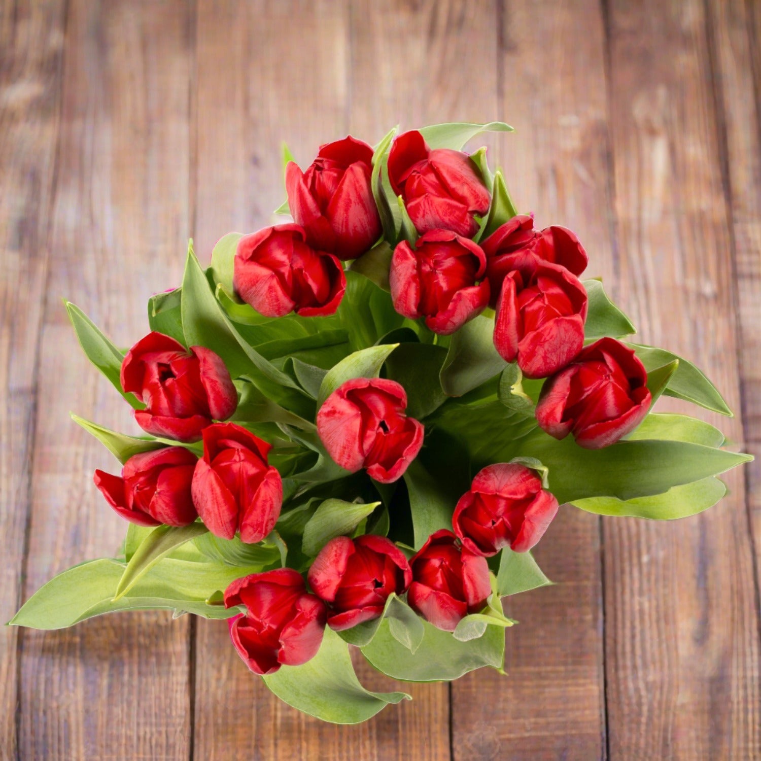 Red tulips best sale