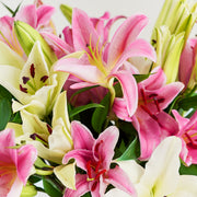 White and Pink Lilies