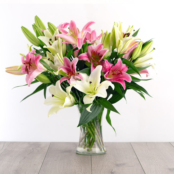 White and Pink Lilies