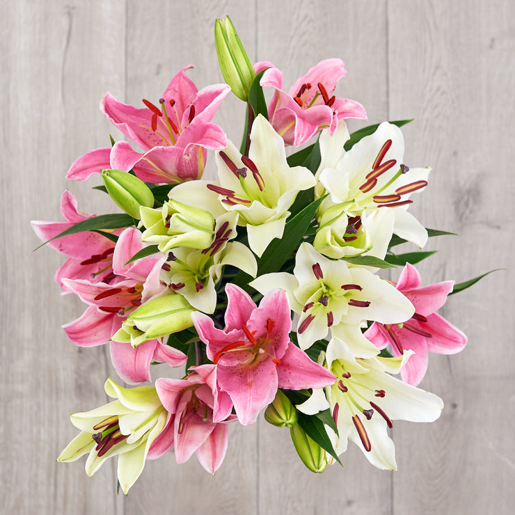 White and Pink Lilies