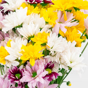 mixed-daisy-flower-bouquet