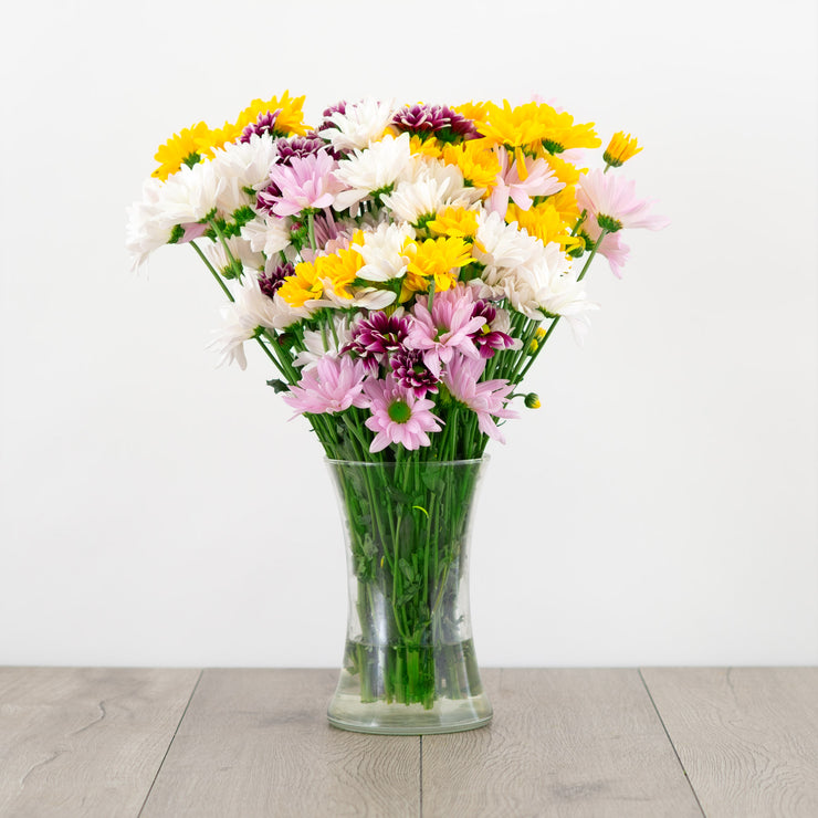 mixed-daisy-flower-bouquet