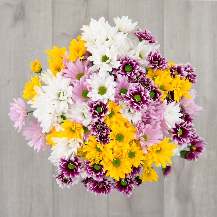 mixed-daisy-flower-bouquet