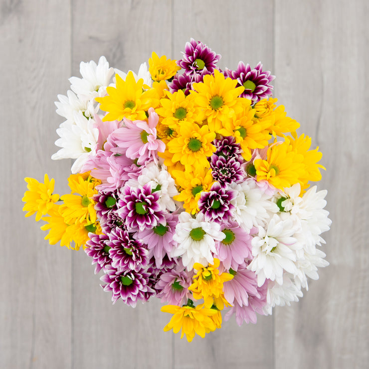 mixed-daisy-flower-bouquet