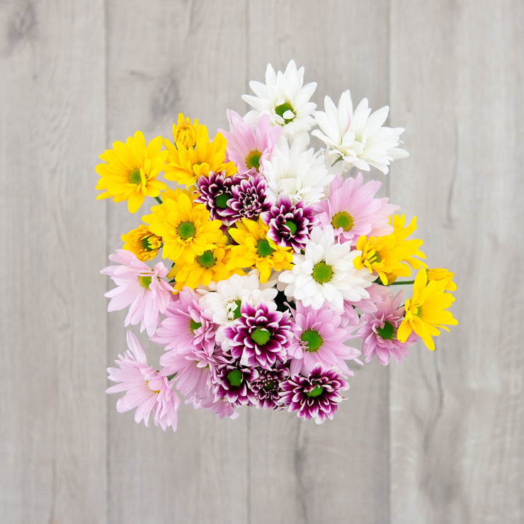 mixed-daisy-flower-bouquet