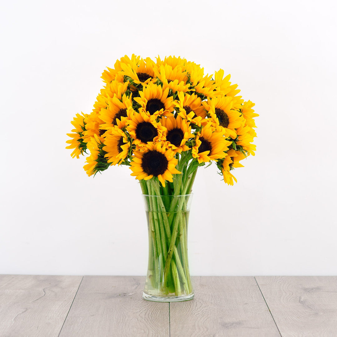 sunflowers-