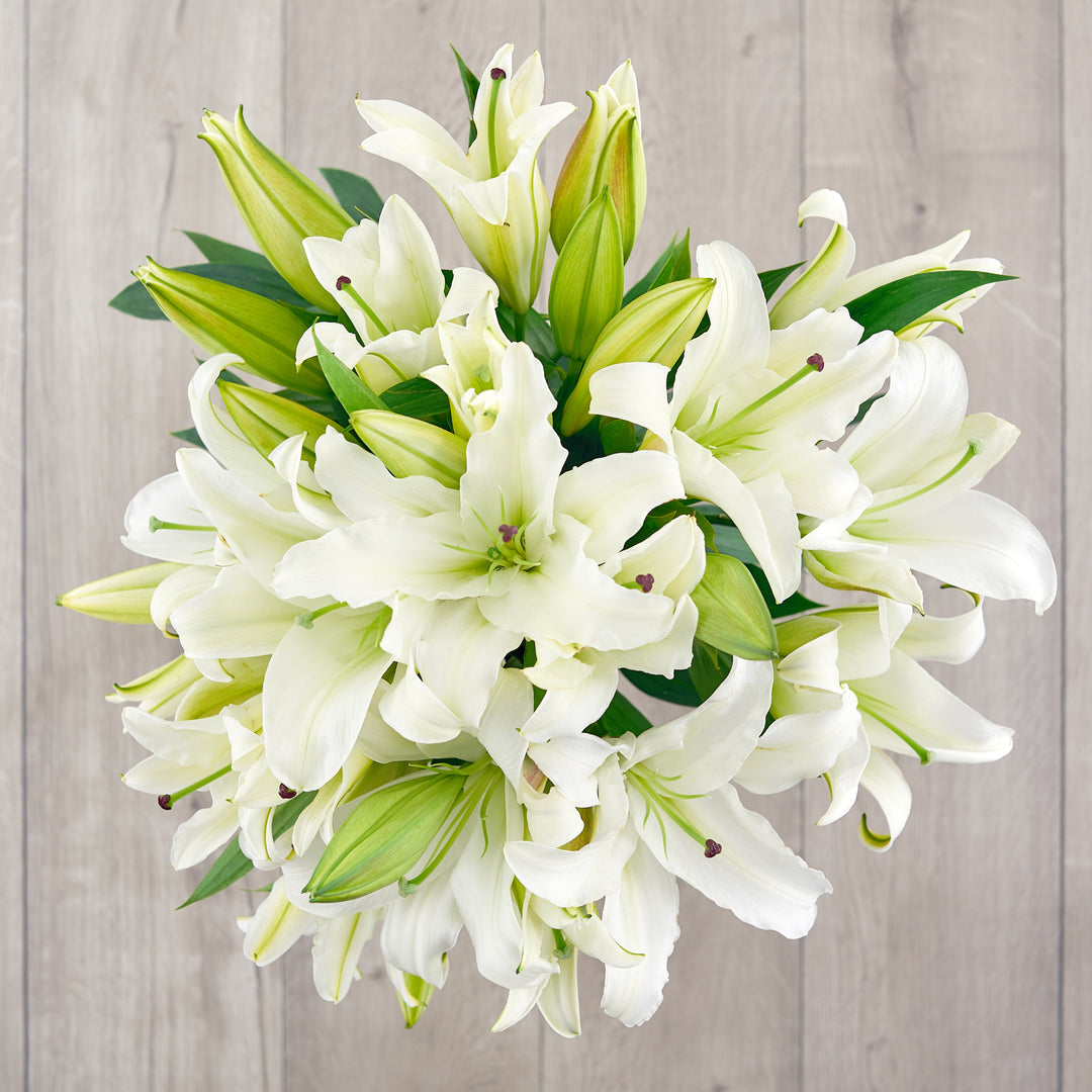 white lily bouquet White Lilies