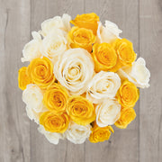 Yellow and White Roses